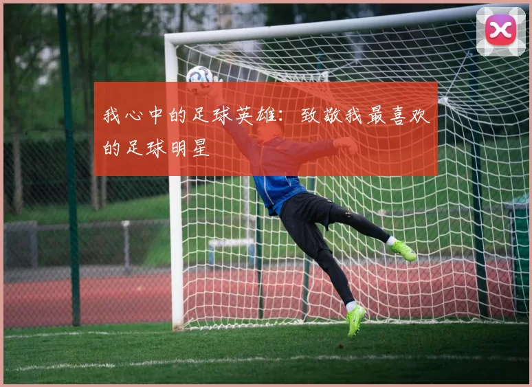 我心中的足球英雄：致敬我最喜欢的足球明星