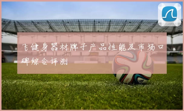 飞健身器材牌子产品性能及市场口碑综合评测