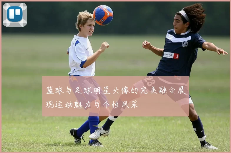篮球与足球明星头像的完美融合展现运动魅力与个性风采