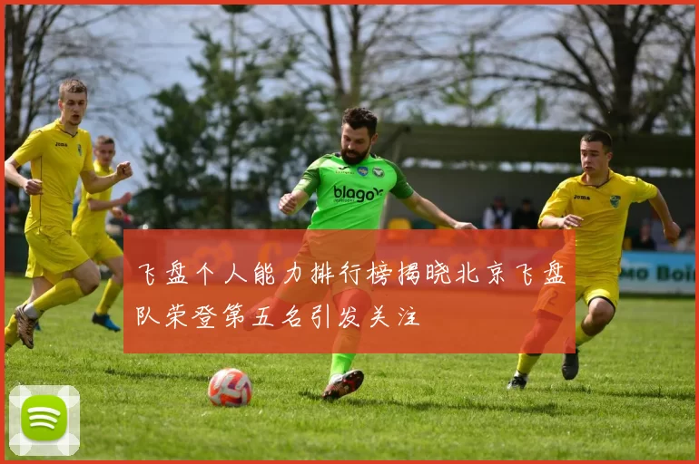 飞盘个人能力排行榜揭晓北京飞盘队荣登第五名引发关注