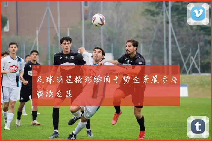 足球明星精彩瞬间手势全景展示与解读合集