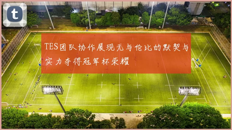 TES团队协作展现无与伦比的默契与实力夺得冠军杯荣耀