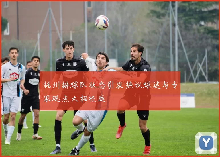 杭州排球队状态引发热议球迷与专家观点大相径庭