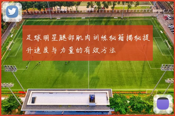 足球明星腿部肌肉训练秘籍揭秘提升速度与力量的有效方法