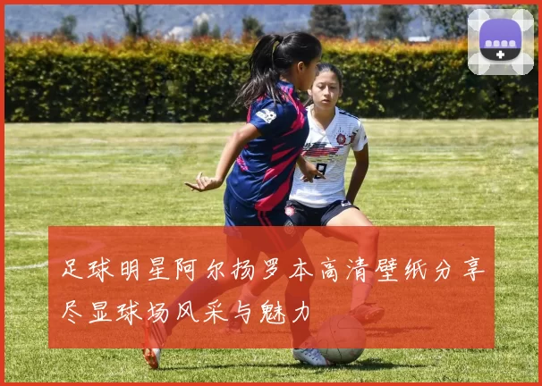 足球明星阿尔扬罗本高清壁纸分享尽显球场风采与魅力