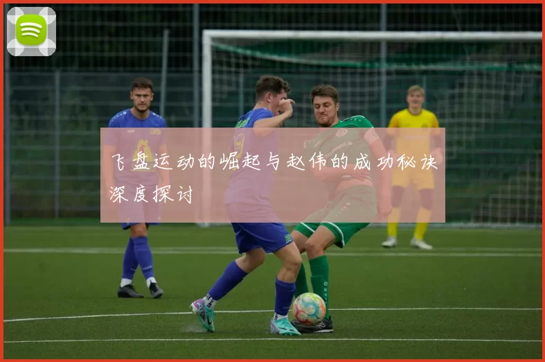飞盘运动的崛起与赵伟的成功秘诀深度探讨