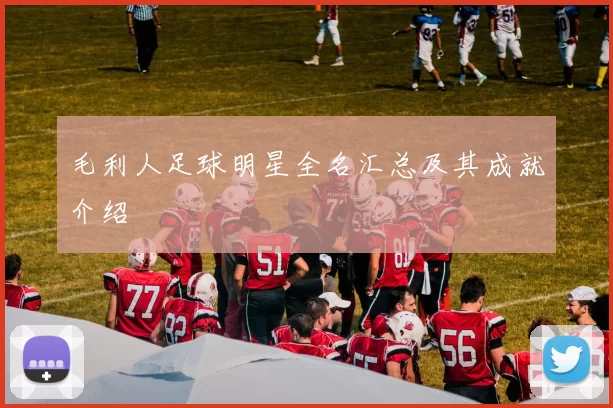 毛利人足球明星全名汇总及其成就介绍