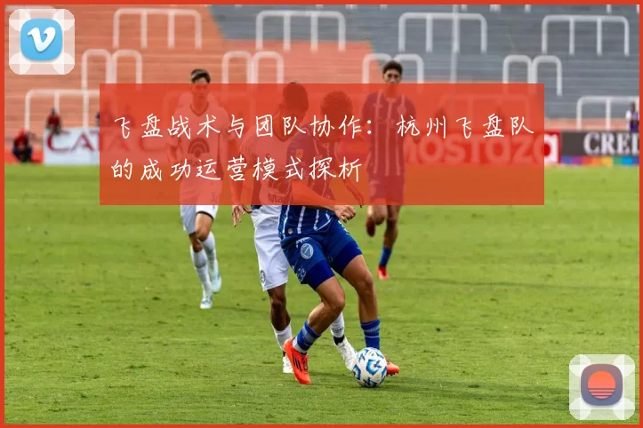 飞盘战术与团队协作：杭州飞盘队的成功运营模式探析