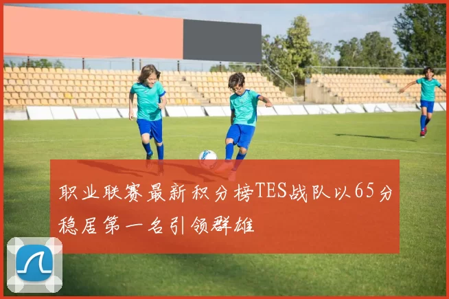 职业联赛最新积分榜TES战队以65分稳居第一名引领群雄