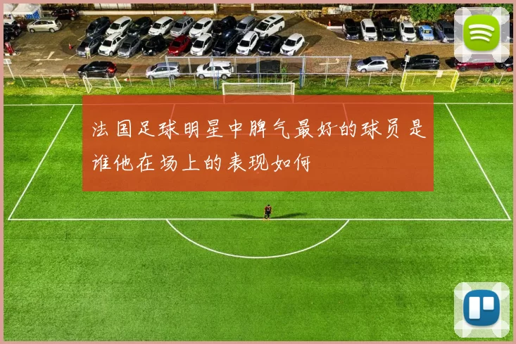 法国足球明星中脾气最好的球员是谁他在场上的表现如何