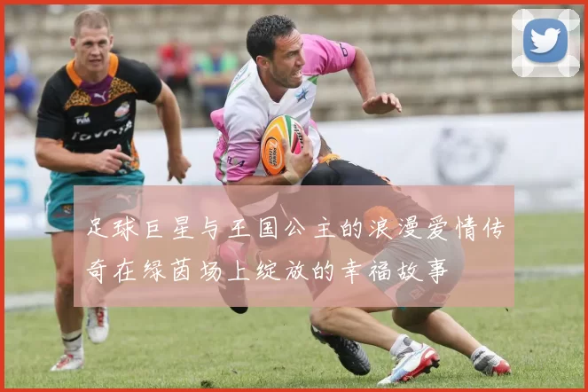 足球巨星与王国公主的浪漫爱情传奇在绿茵场上绽放的幸福故事