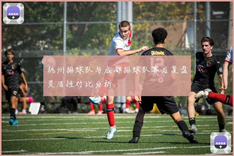 杭州排球队与成都排球队赛后复盘灵活性对比分析