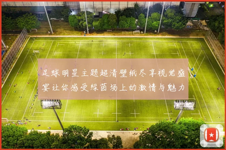 足球明星主题超清壁纸尽享视觉盛宴让你感受绿茵场上的激情与魅力