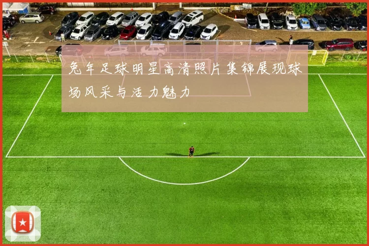 兔年足球明星高清照片集锦展现球场风采与活力魅力