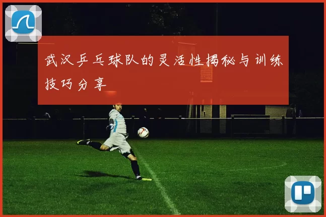 武汉乒乓球队的灵活性揭秘与训练技巧分享