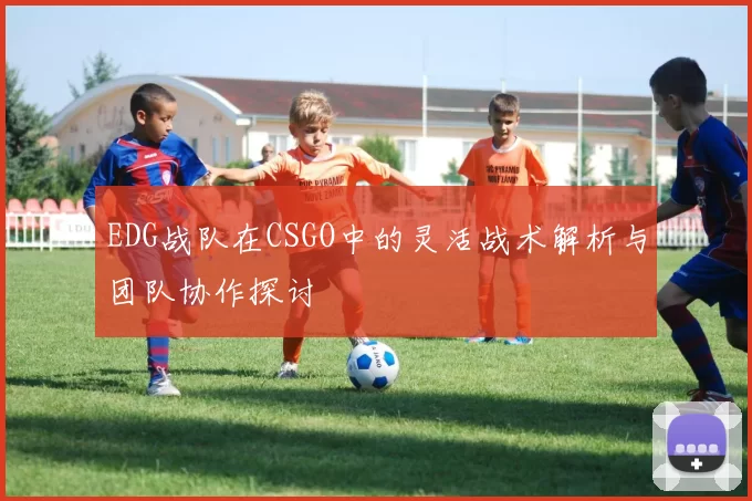 EDG战队在CSGO中的灵活战术解析与团队协作探讨