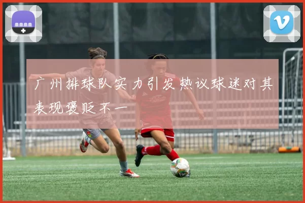 广州排球队实力引发热议球迷对其表现褒贬不一