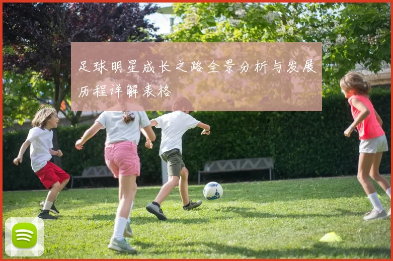 足球明星成长之路全景分析与发展历程详解表格