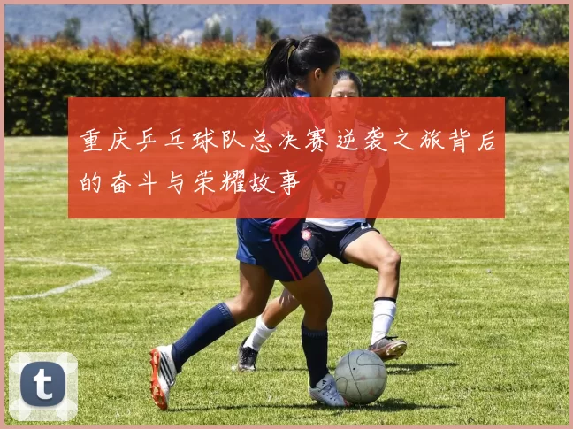 重庆乒乓球队总决赛逆袭之旅背后的奋斗与荣耀故事