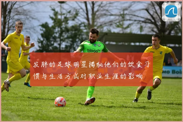发胖的足球明星揭秘他们的饮食习惯与生活方式对职业生涯的影响