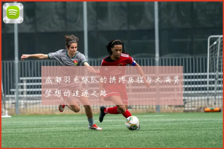 成都羽毛球队的拼搏历程与大满贯梦想的追逐之路